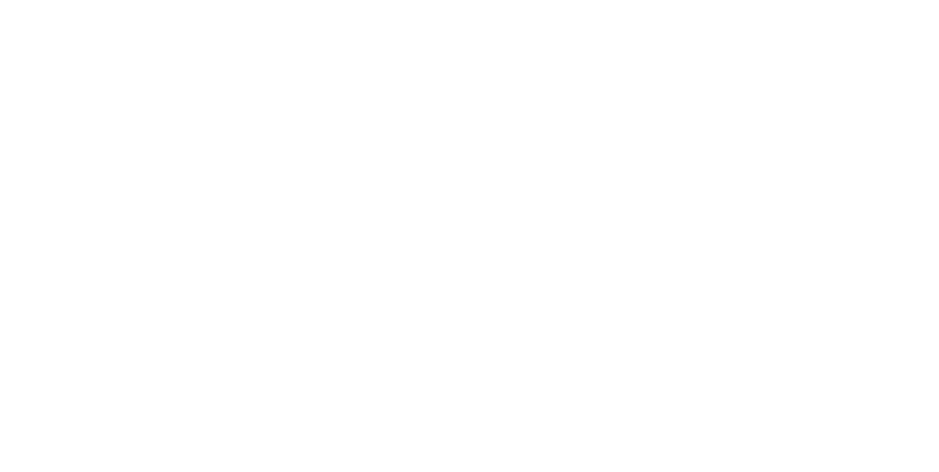 Federal Capital Group